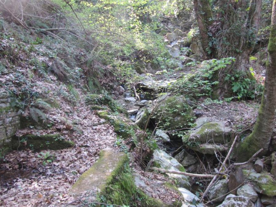 חצי האי פליון